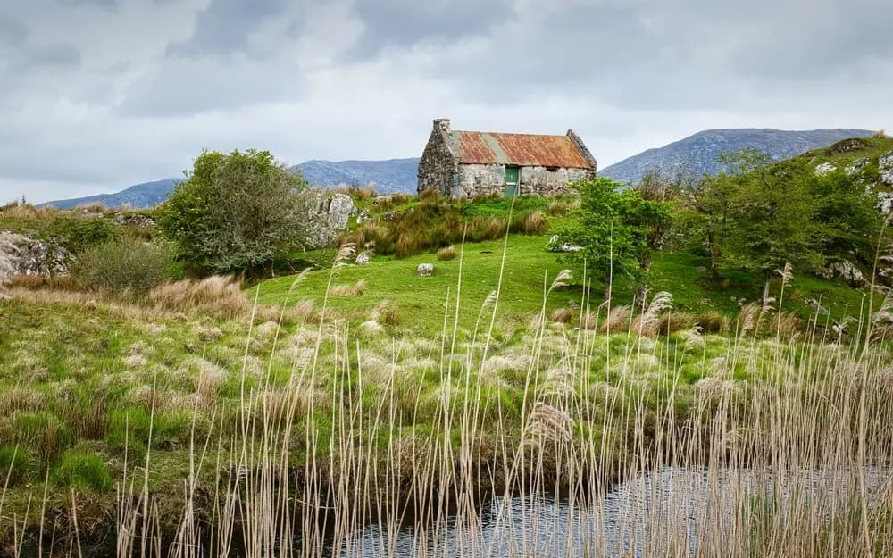 Nature & paysages