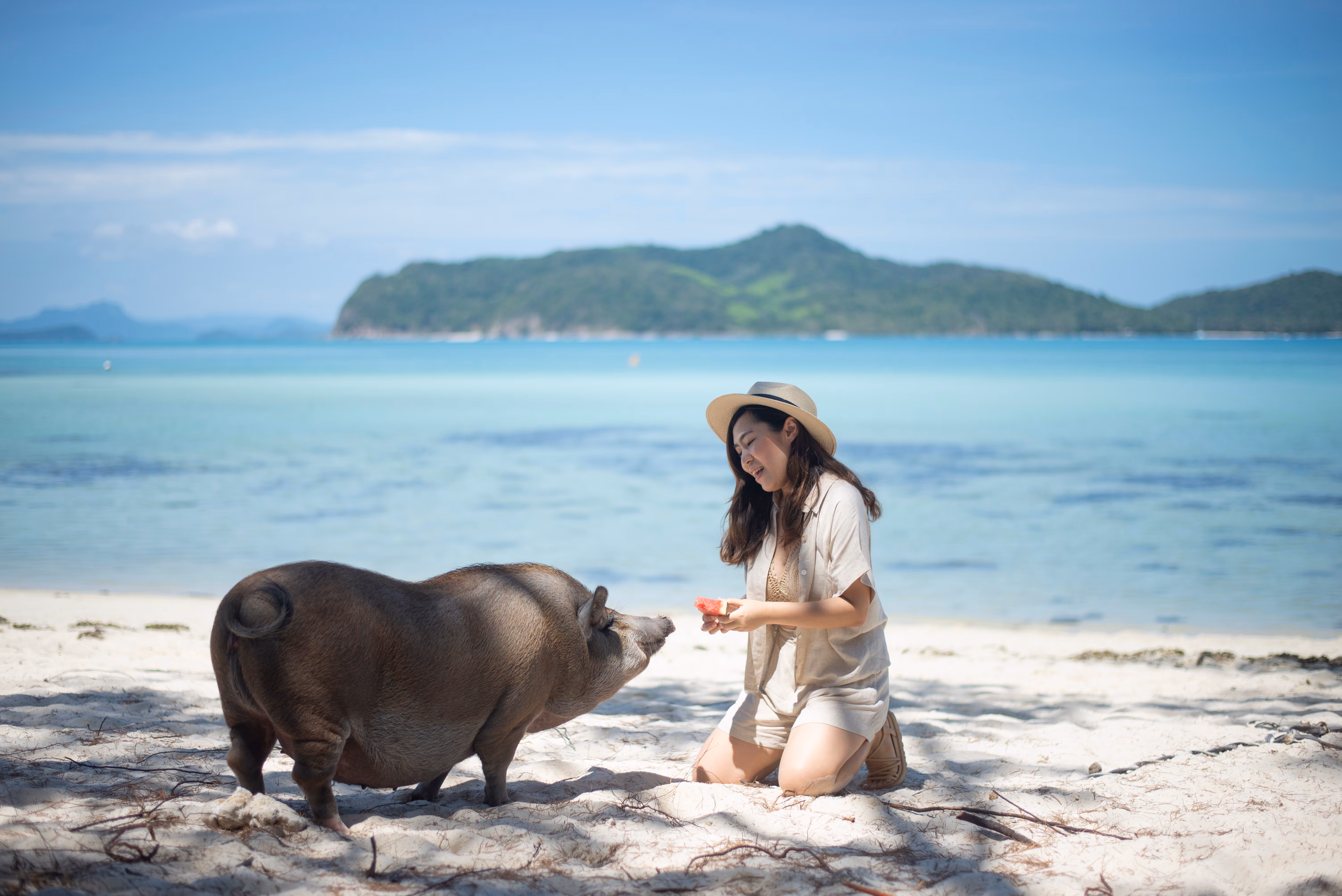 Jour 9