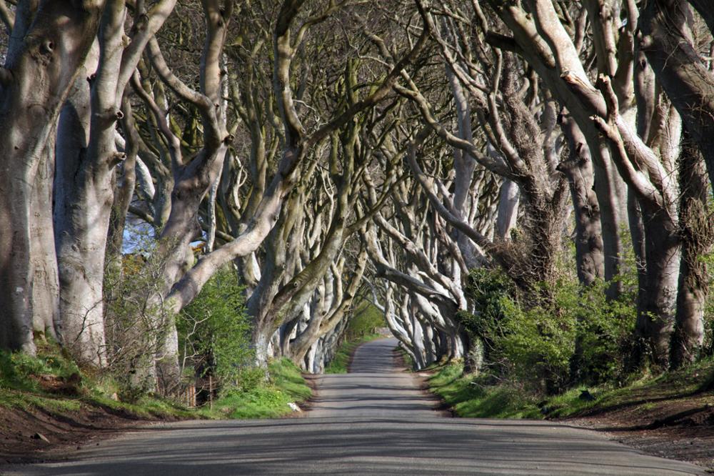 Lieux de tournage Game of thrones : Les 10 plus beaux spots d'Irlande du Nord !