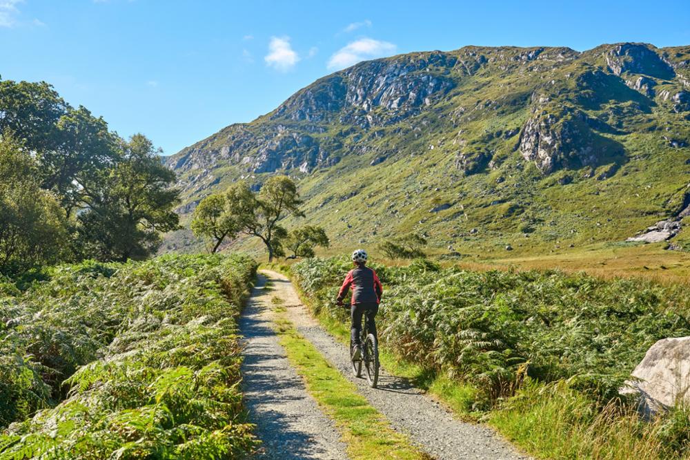 Tour de l'Irlande à vélo : guide complet pour un road trip réussi !
